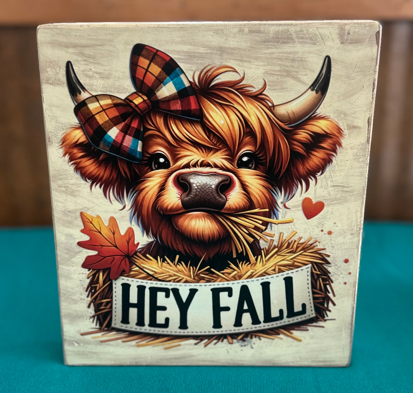 Highland Heifer Hey Fall