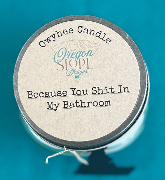 Because You Shit In My Bathroom