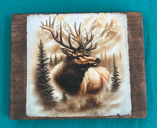 Elk