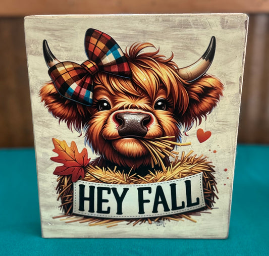 Highland Heifer Hey Fall