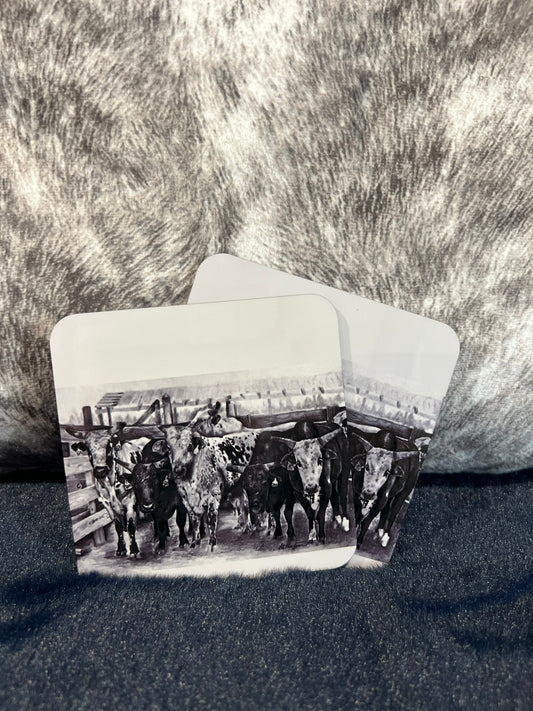 B&W Bucking Bulls Coaster