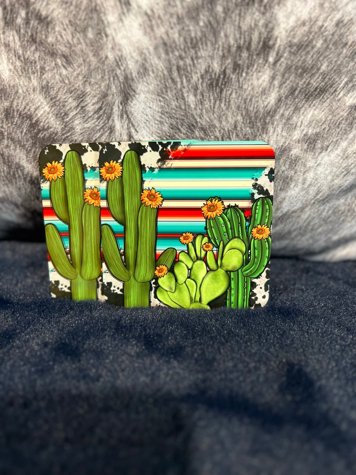 Cactus Serape Coasters