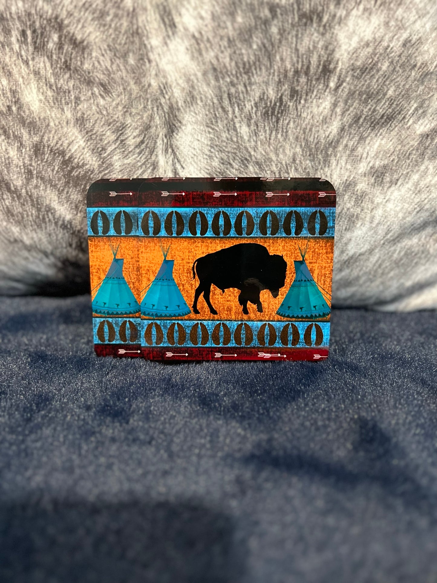 Buffalo Coasters